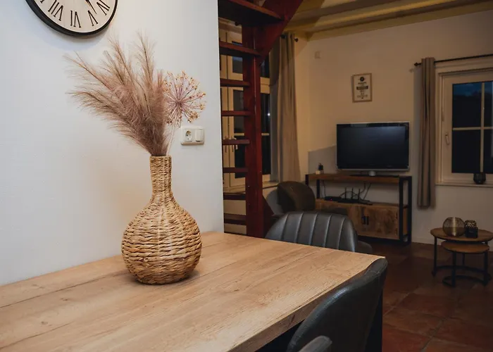 Vakantiewoning De Boshoorn