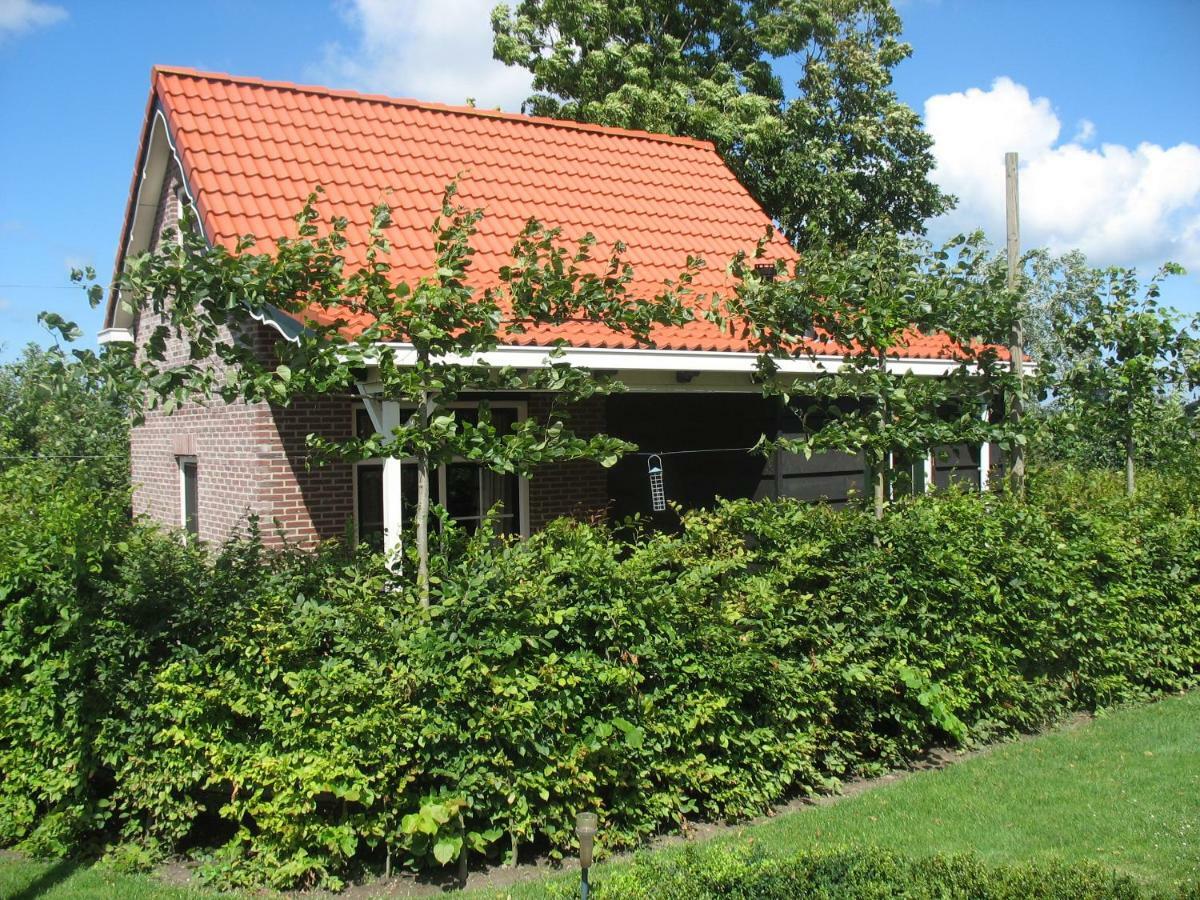 Vakantiewoning De Boshoorn Casa vacanze *